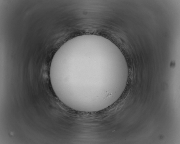X0000102460962200808080941