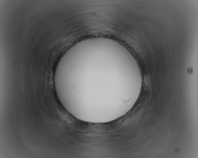 X0000102460963200808080941