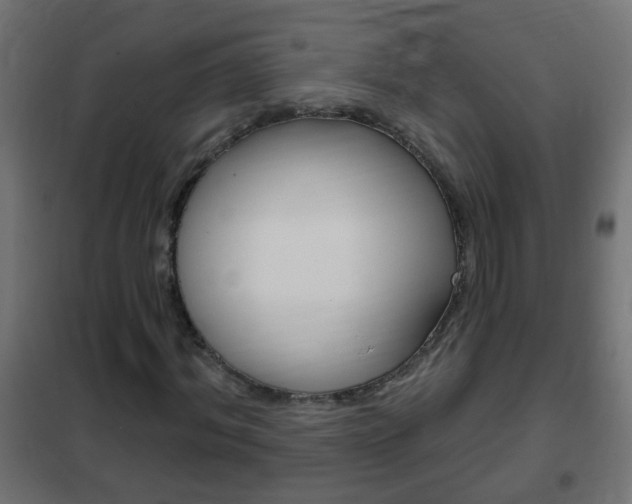 X0000102460964200808080941