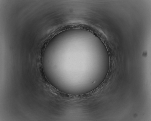 X0000102460965200808080941