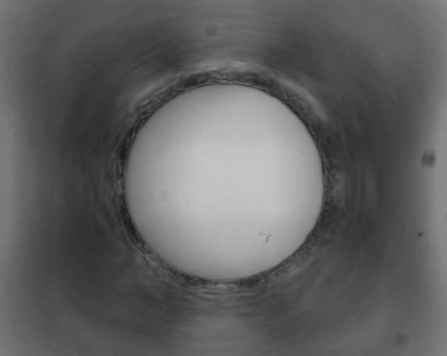X0000102460966200808080941
