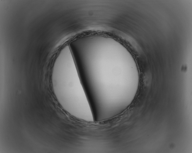 X0000102460968200808080941