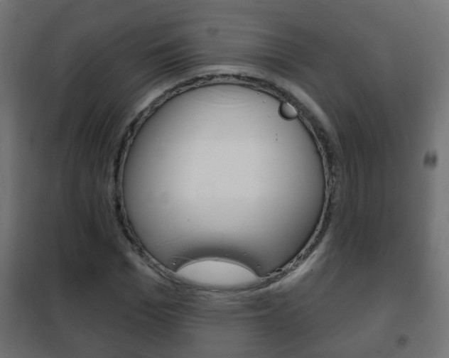 X0000102460969200808080941