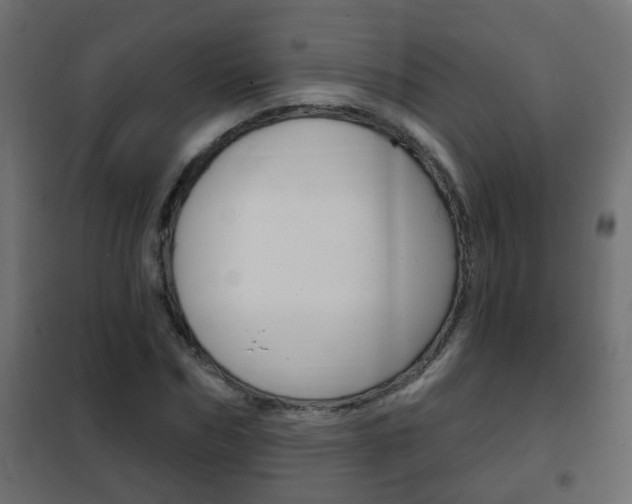 X0000102460970200808080941