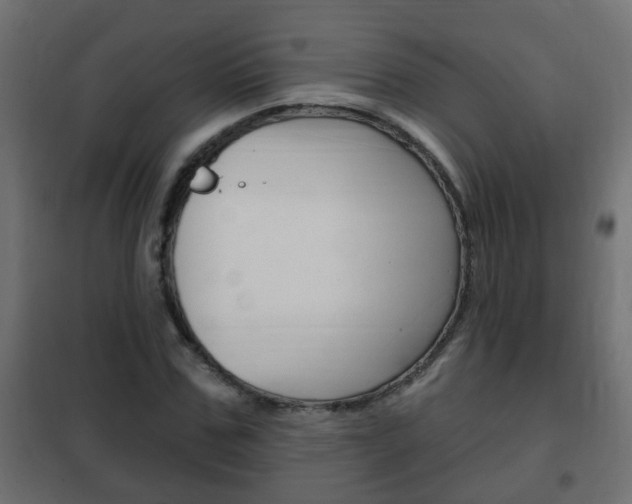 X0000102460971200808080941