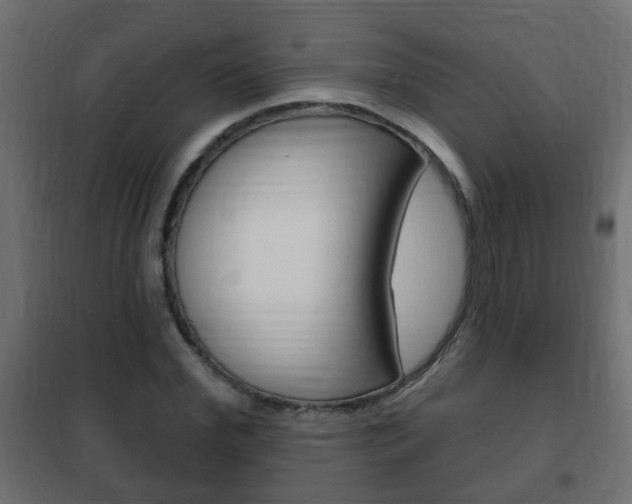 X0000102460972200808080940