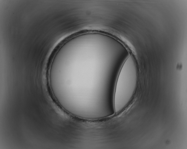 X0000102460976200808080940