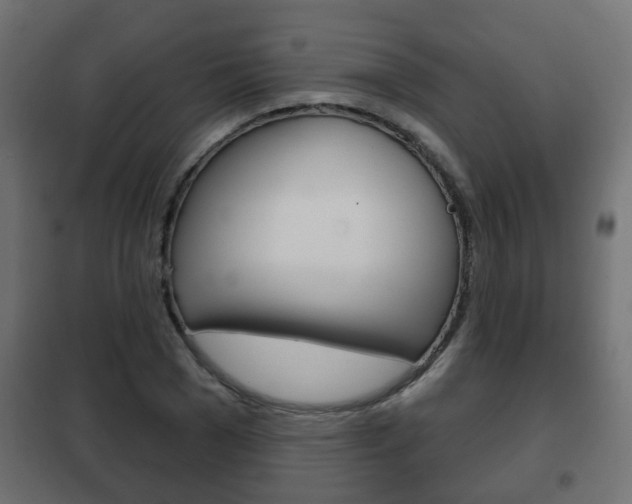 X0000102460977200808080940