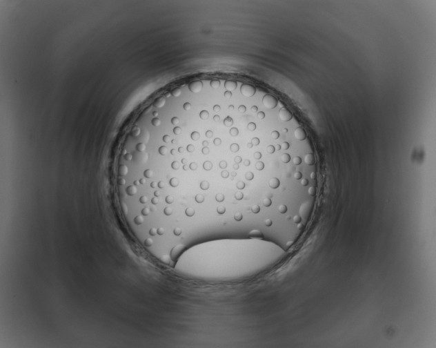 X0000102460978200808080940