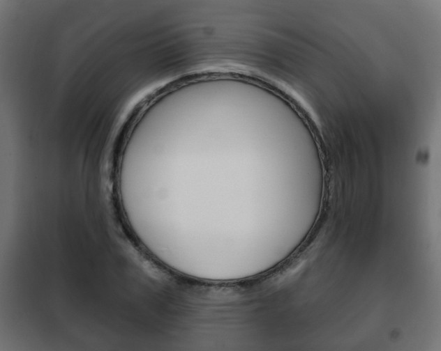 X0000102460979200808080940