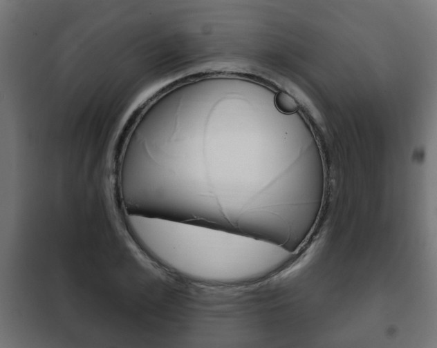 X0000102460981200808080940