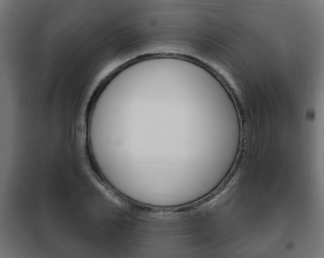 X0000102460982200808080940