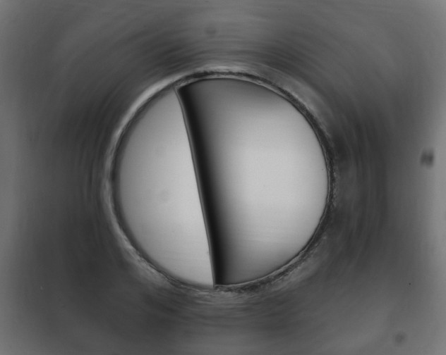 X0000102460984200808080940