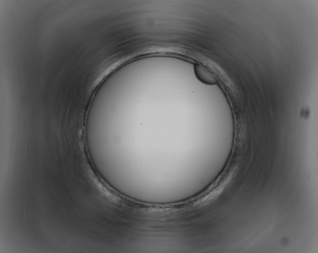 X0000102460985200808080940