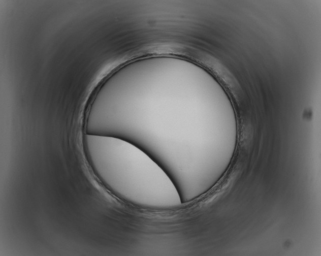 X0000102460986200808080940
