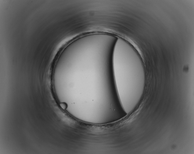 X0000102460987200808080940