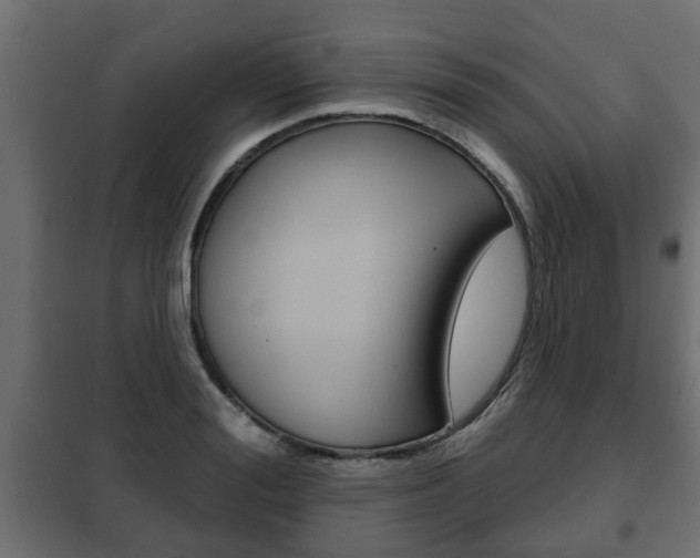 X0000102460988200808080940