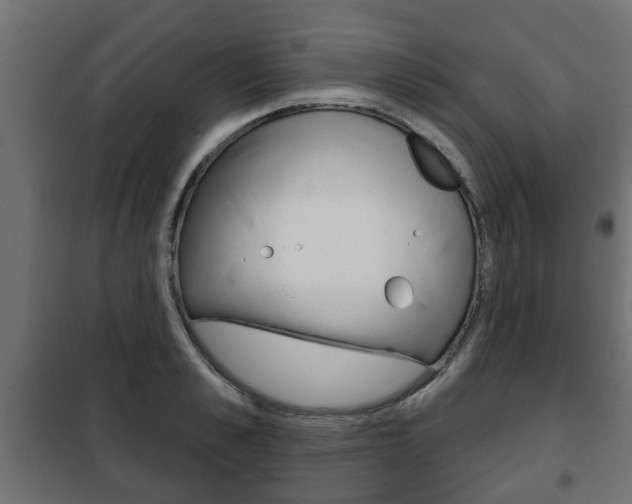 X0000102460989200808080940