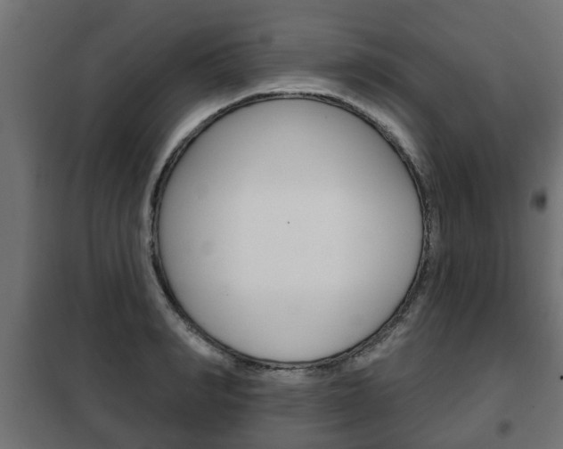 X0000102460990200808080940