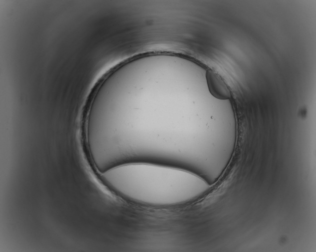 X0000102460991200808080940