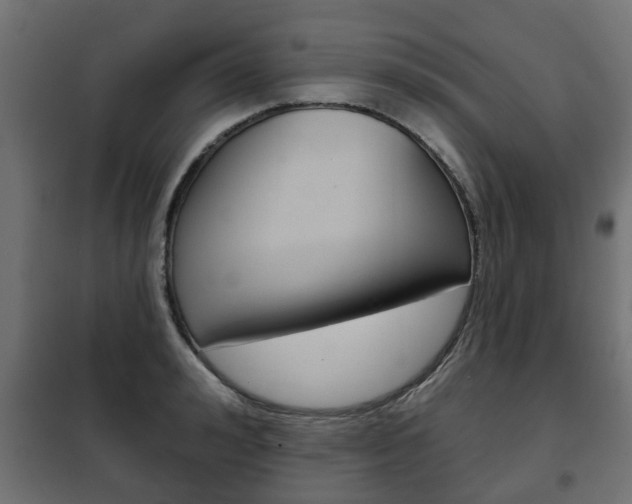 X0000102460992200808080940