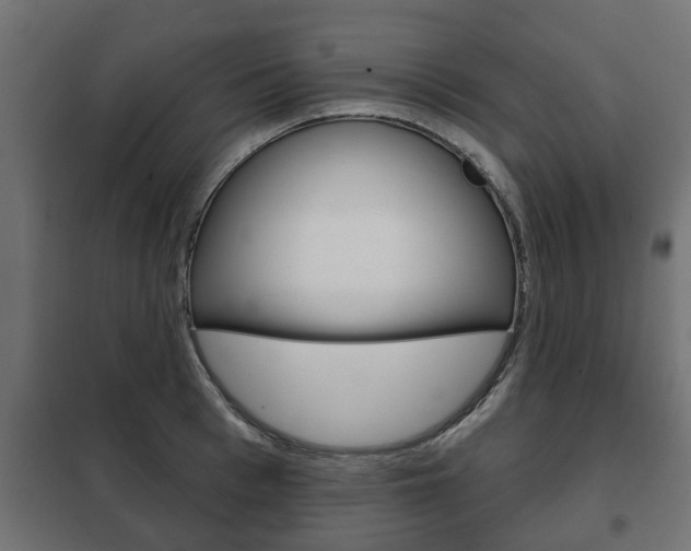 X0000102460993200808080940