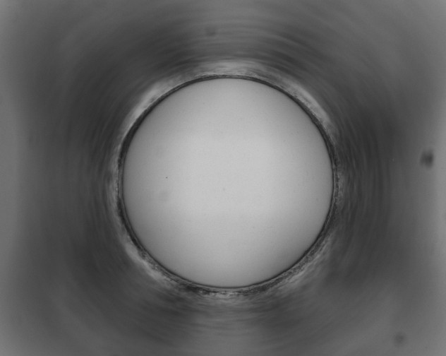 X0000102460994200808080940