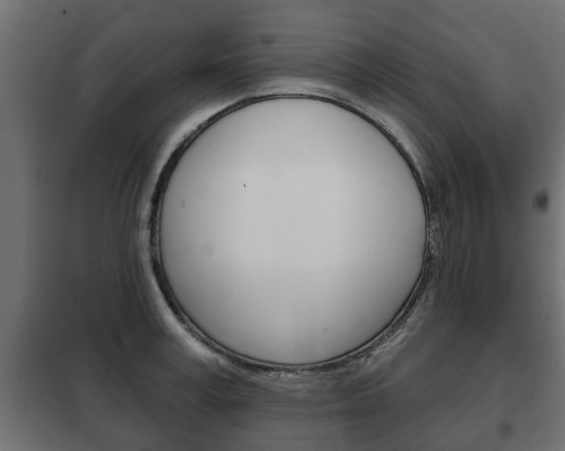 X0000102460995200808080940