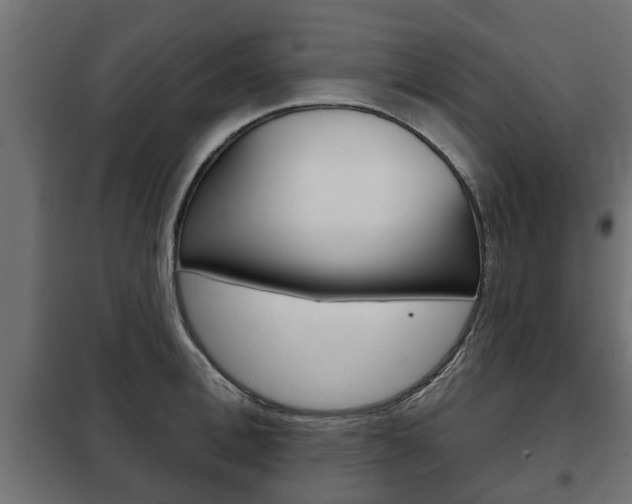 X0000102460996200808080940