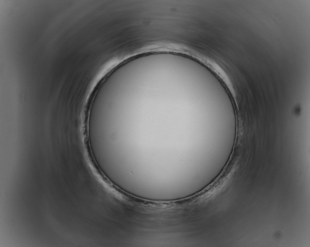 X0000102460997200808080940
