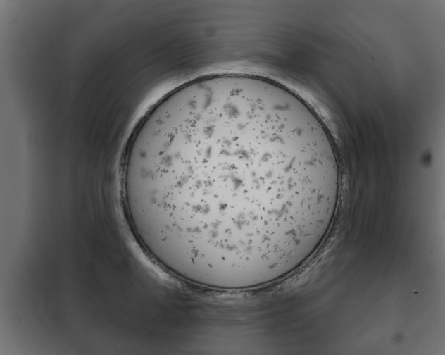 X0000102460998200808080940
