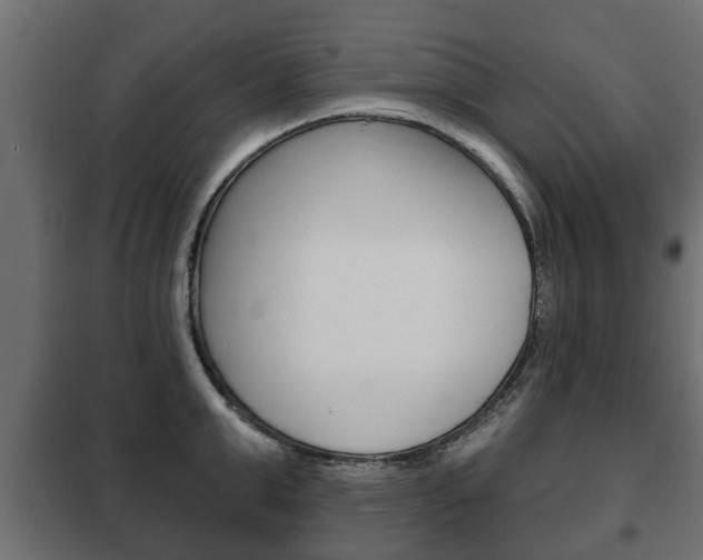 X0000102460999200808080940