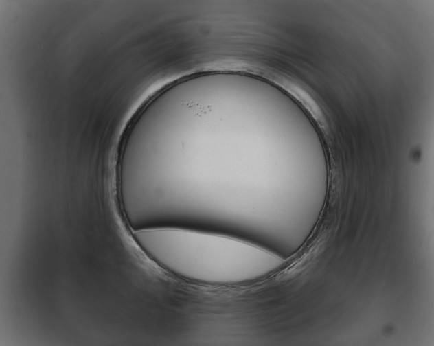 X0000102461000200808080940