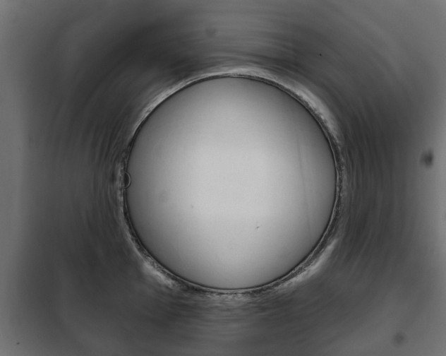 X0000102461001200808080940