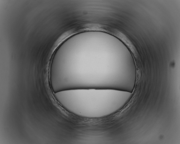 X0000102461002200808080940