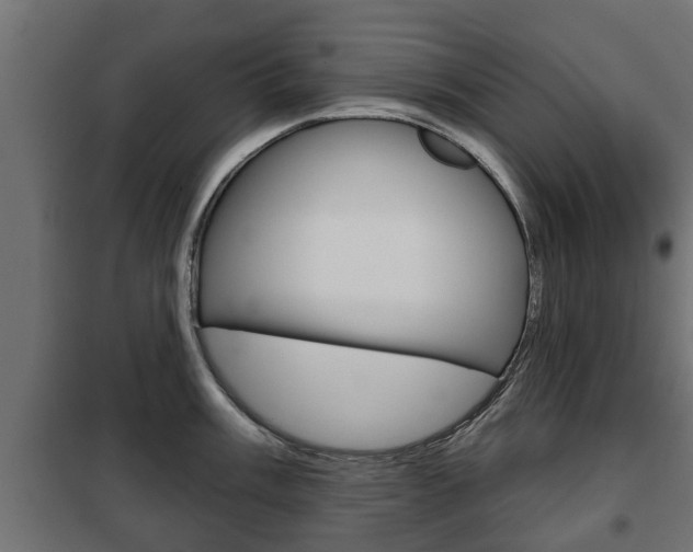 X0000102461003200808080940