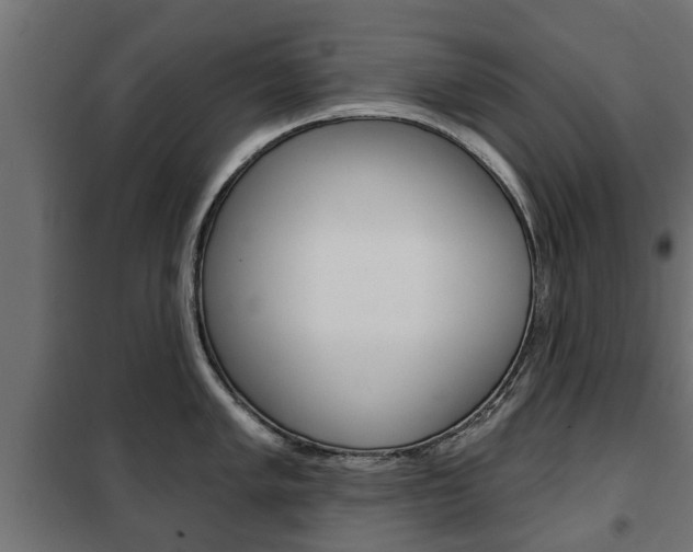 X0000102461005200808080940