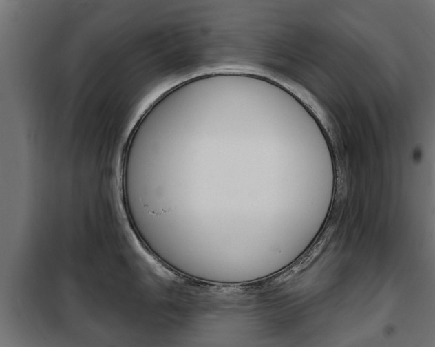 X0000102461006200808080940
