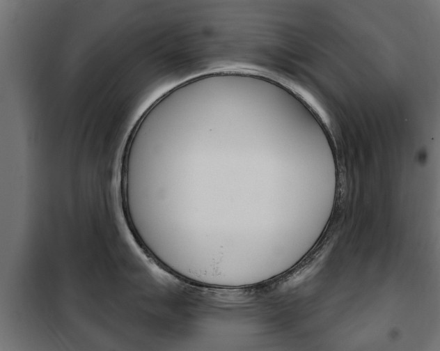 X0000102461007200808080940