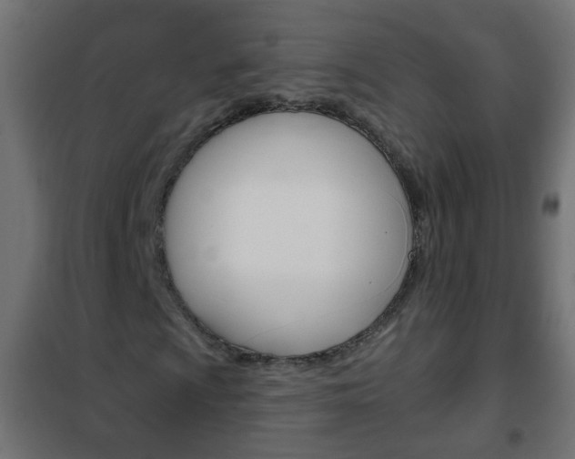 X0000102461009200808080939