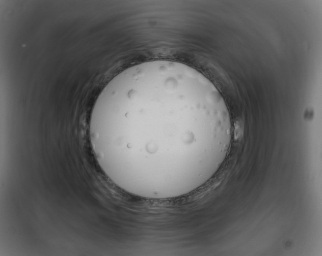 X0000102461011200808080939
