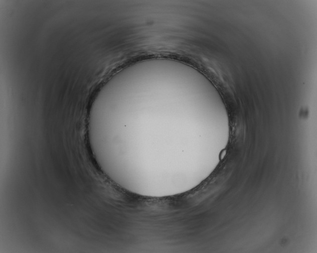 X0000102461012200808080939