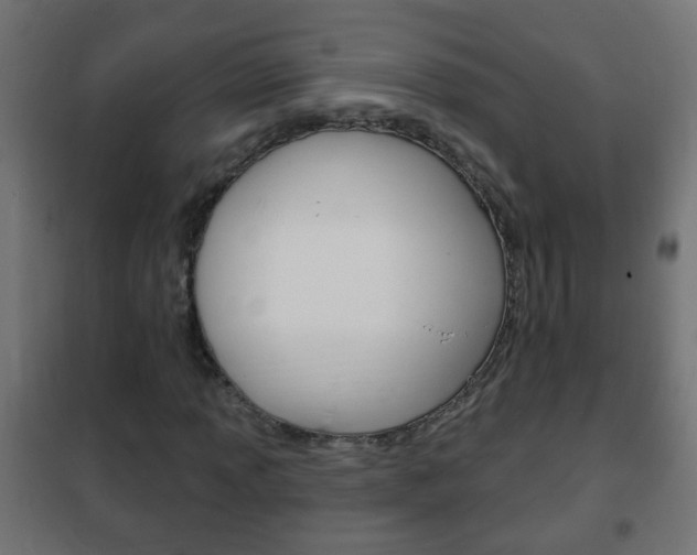 X0000102461013200808080939