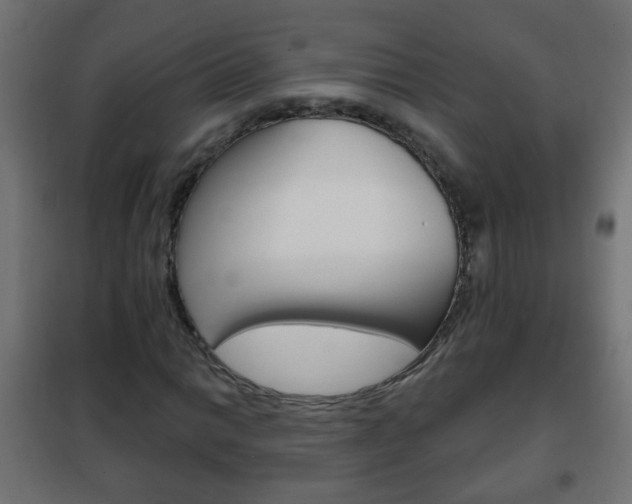 X0000102461014200808080939
