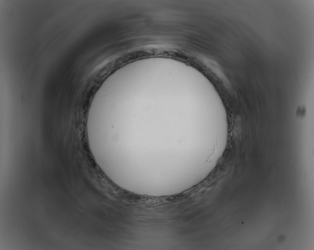 X0000102461015200808080939
