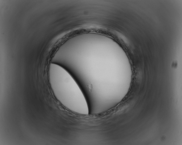 X0000102461016200808080939