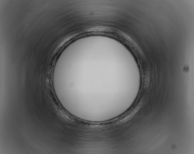 X0000102461017200808080939