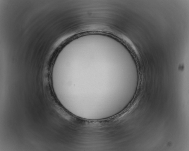 X0000102461019200808080939