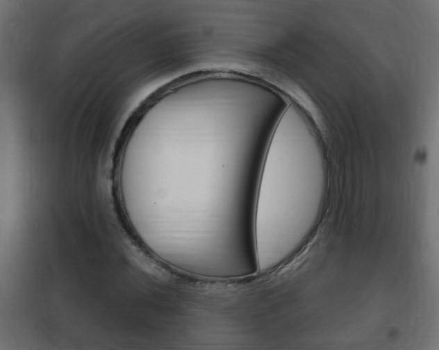 X0000102461020200808080939
