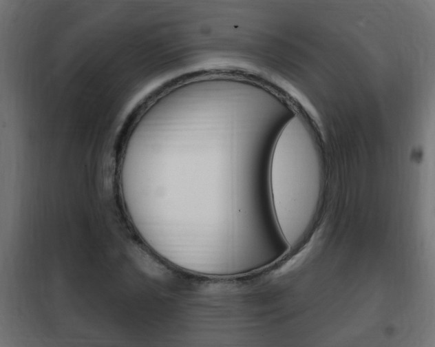 X0000102461021200808080939